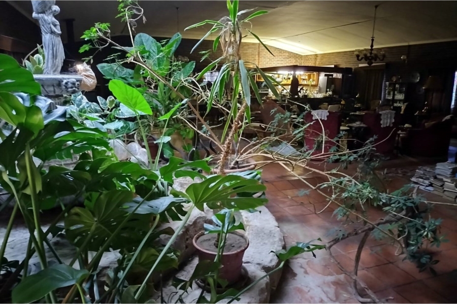 4 Bedroom Property for Sale in Ladybrand Rural Free State